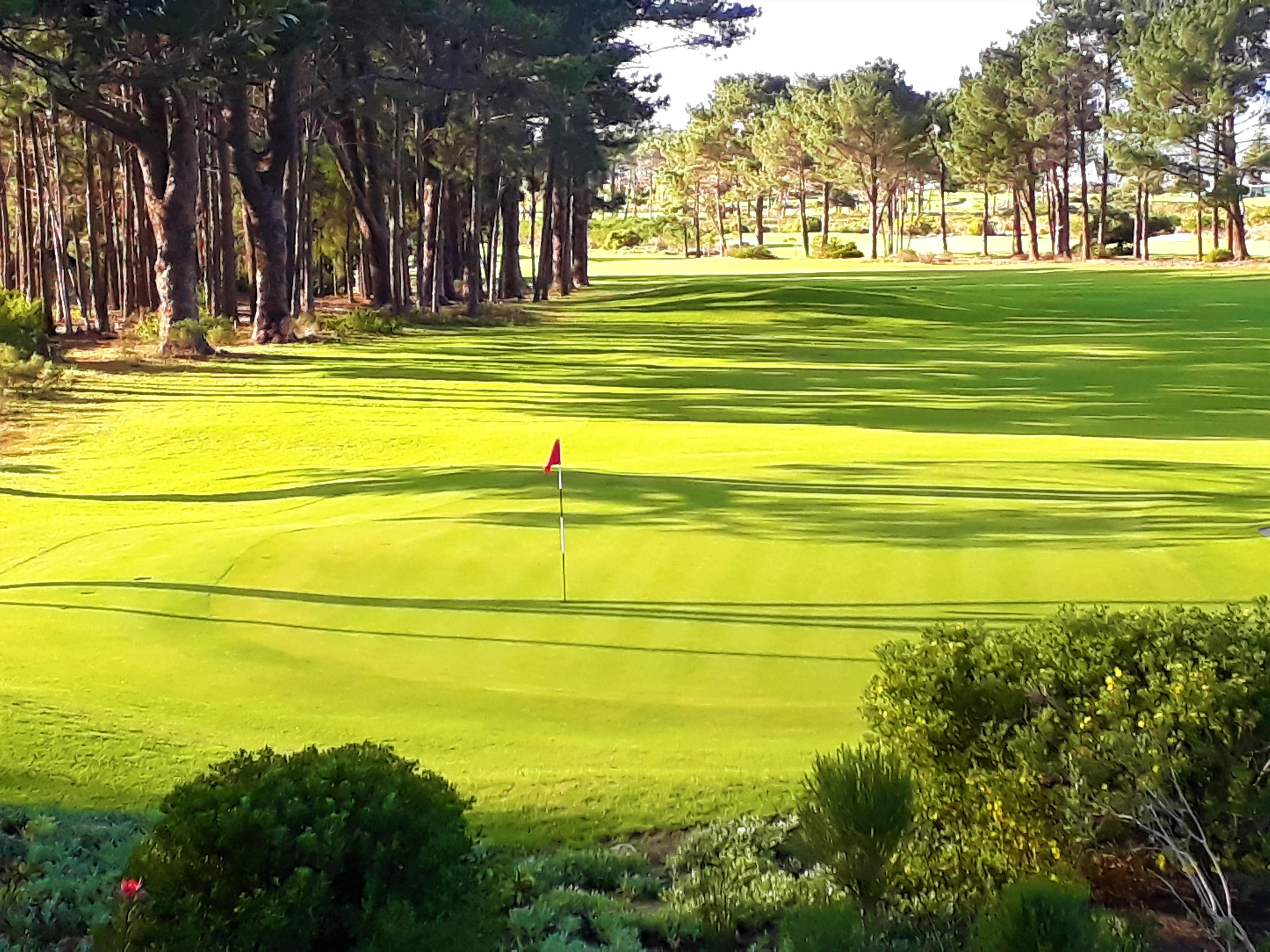 Hermanus Lodge On The Green - Solar Power Extérieur photo